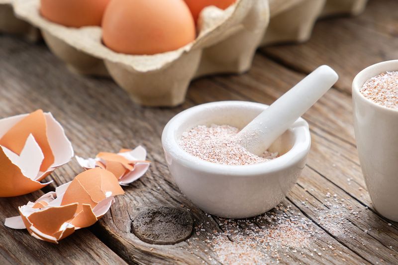 Crushed Eggshells