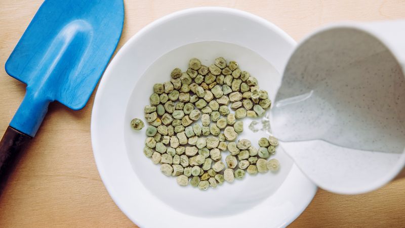 Soaking Seeds Overnight