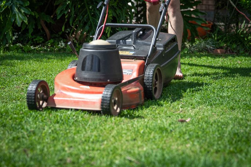 Adjusting Mowing Height Alongside Feeding