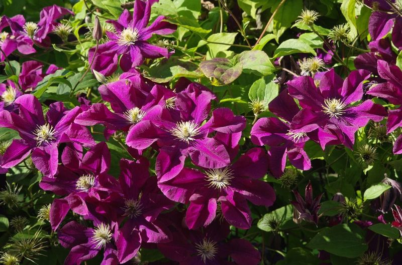 Figure Out Your Pruning Group First