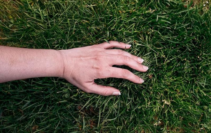 Lift several spots before blaming grubs