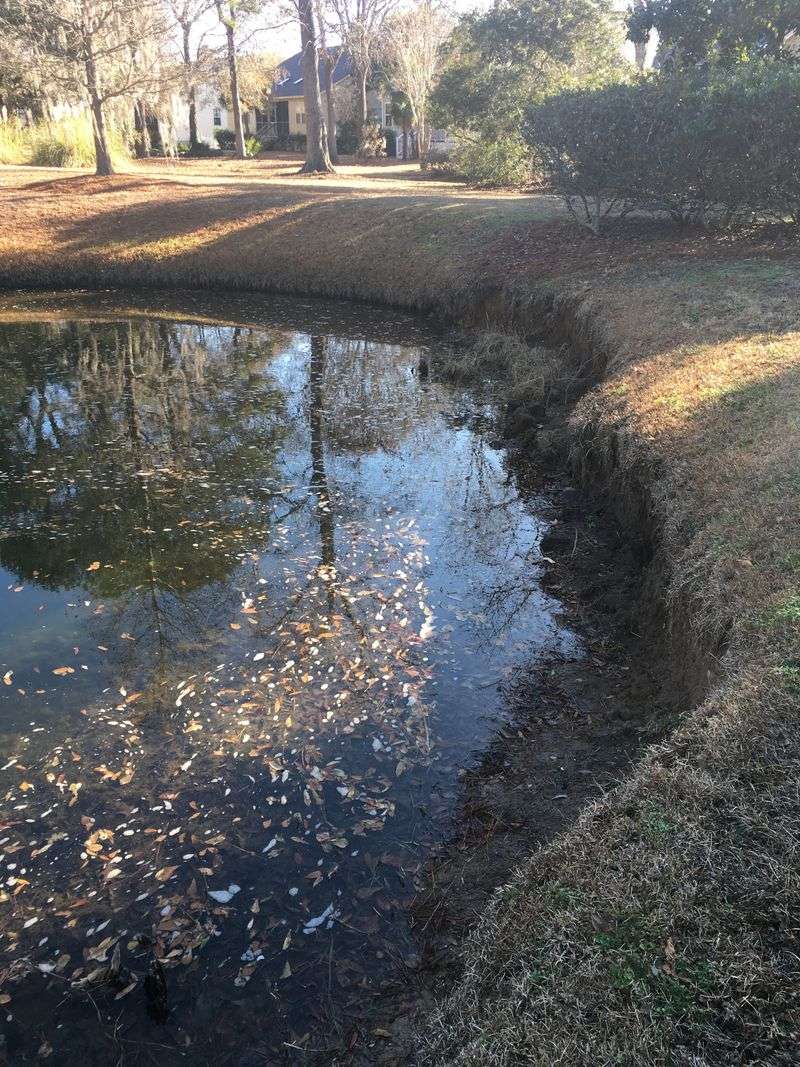 The heron does not certify your pond’s water quality