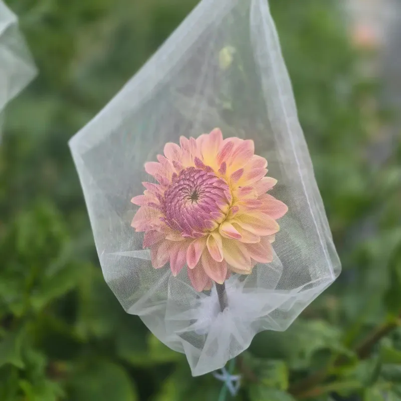 Cover selected flowers when preserving the flush matters more