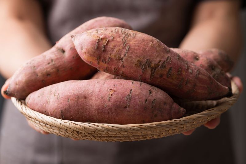 Curing heals wounds instead of merely drying roots