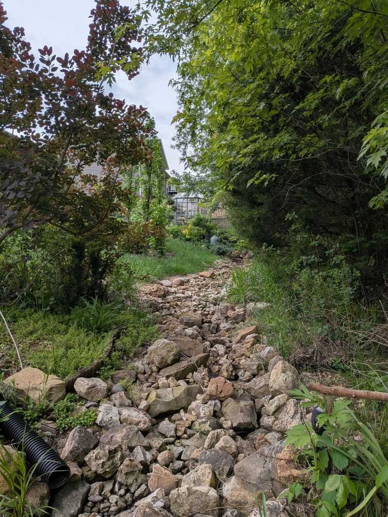 Heavy-rain events make path location the first decision
