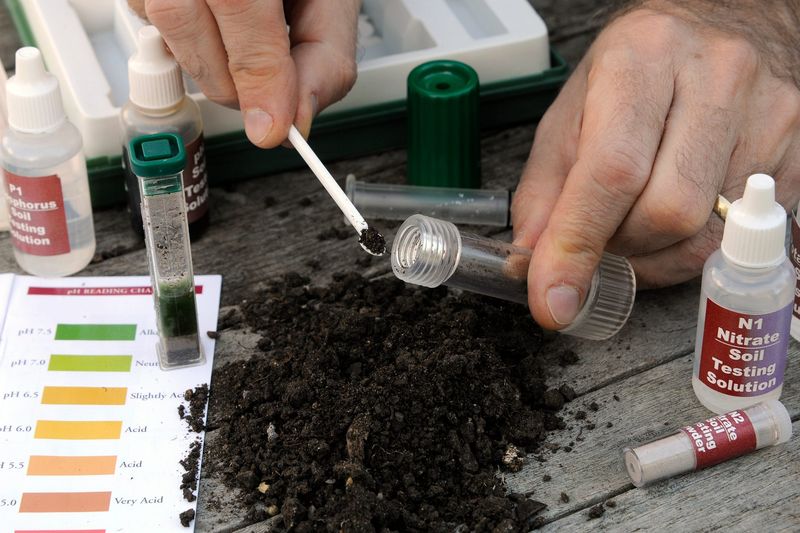 Incorrect Soil pH