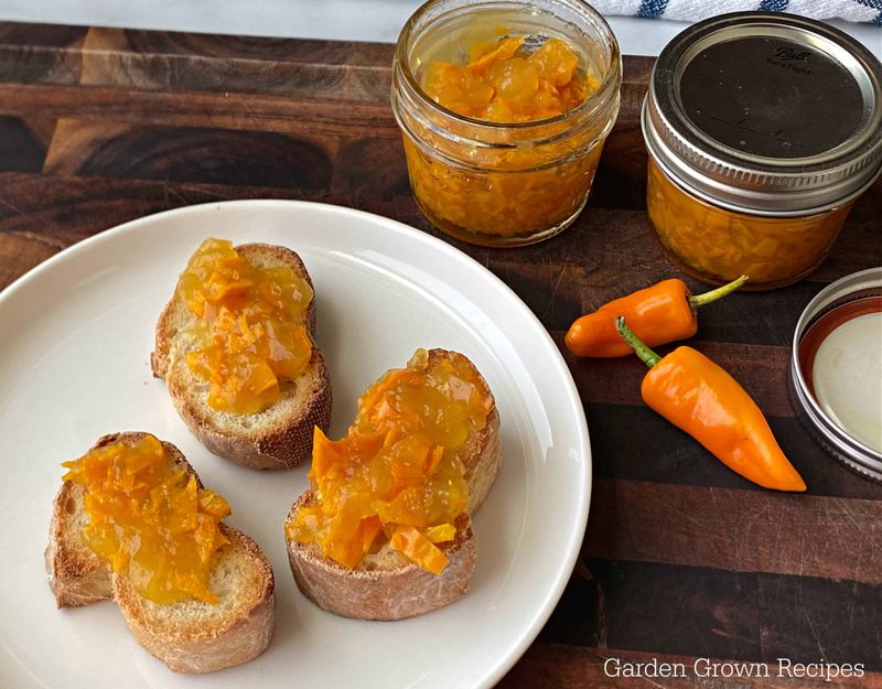 Datil Pepper Jelly