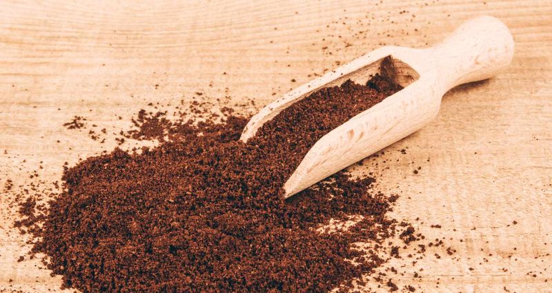 Used Coffee Grounds