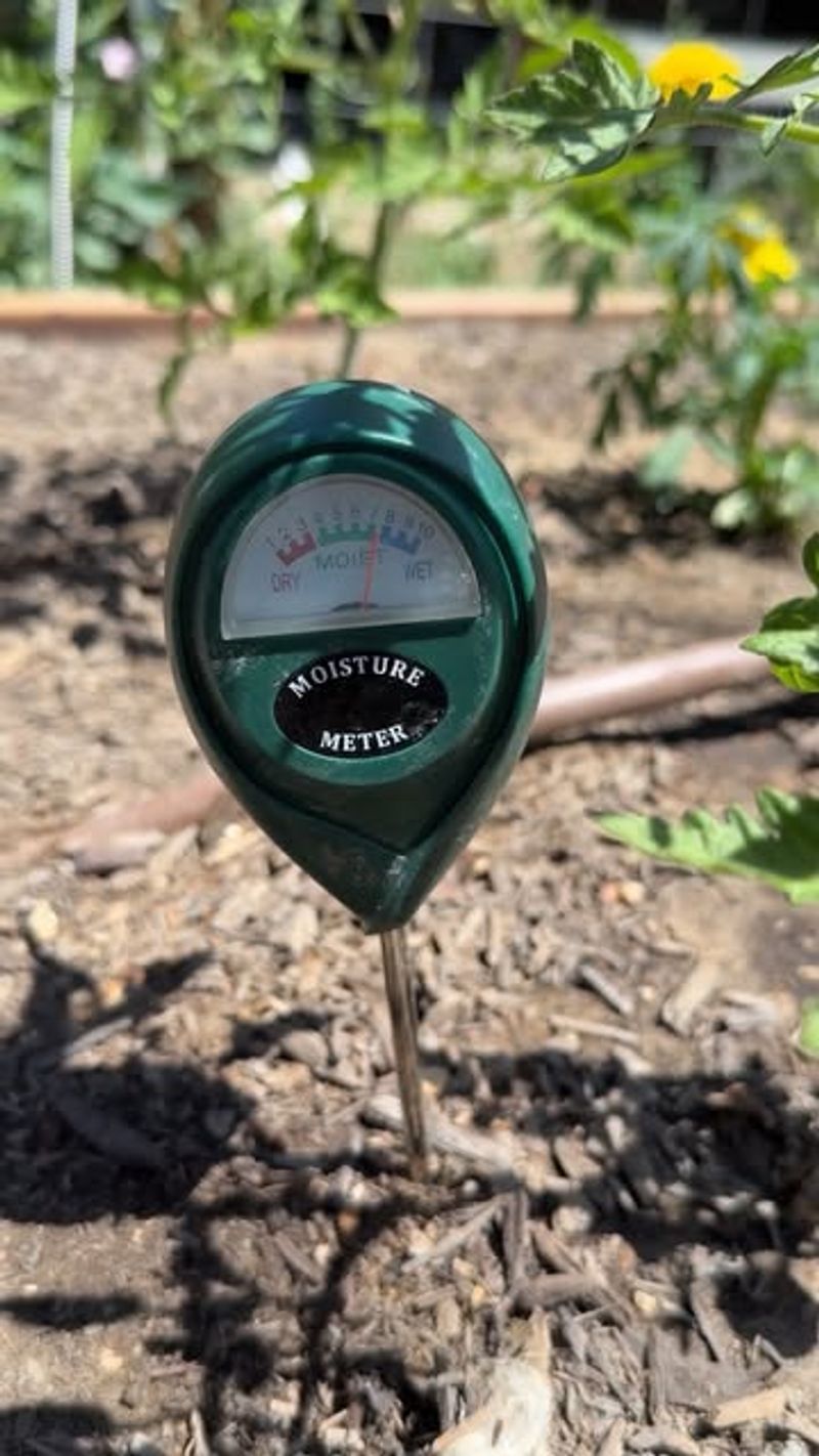 Check soil moisture before changing the watering routine