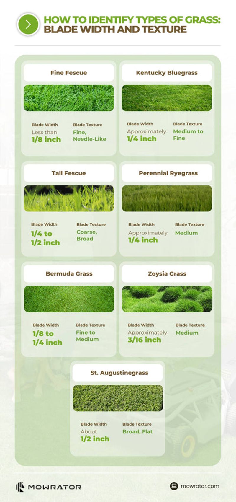 Treat Grass Type and Mowing Height as Factors to Evaluate