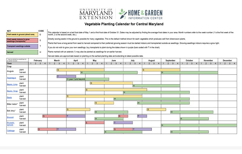 Time Fall Plantings for Local Conditions
