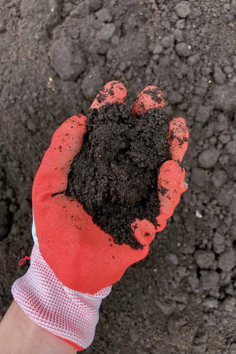 Let the soil report guide next spring’s plan