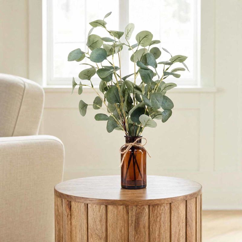 Eucalyptus