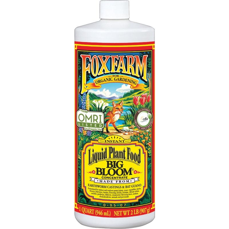 Start With a Balanced Fertilizer