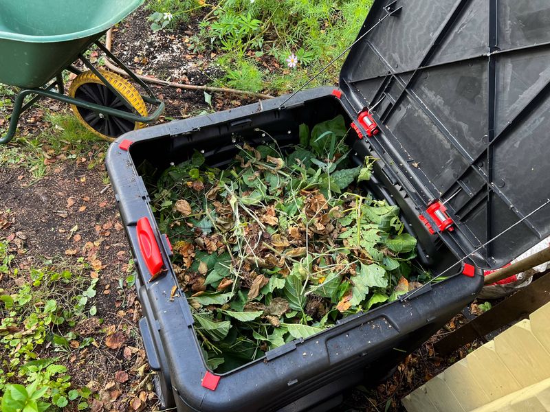 Choose composting or disposal carefully