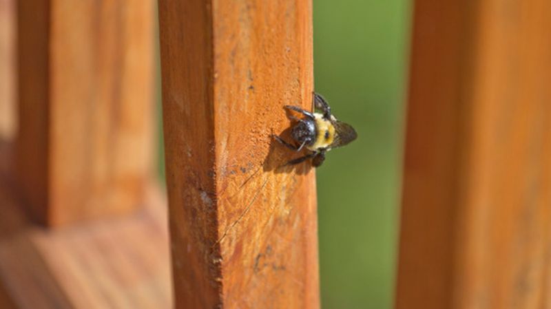 Read the railing before you reach for the spray