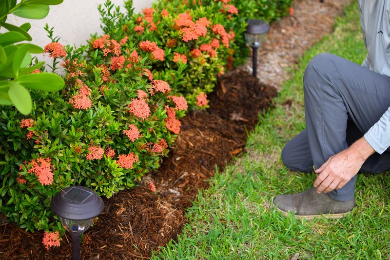 Mulch protects water already in the soil