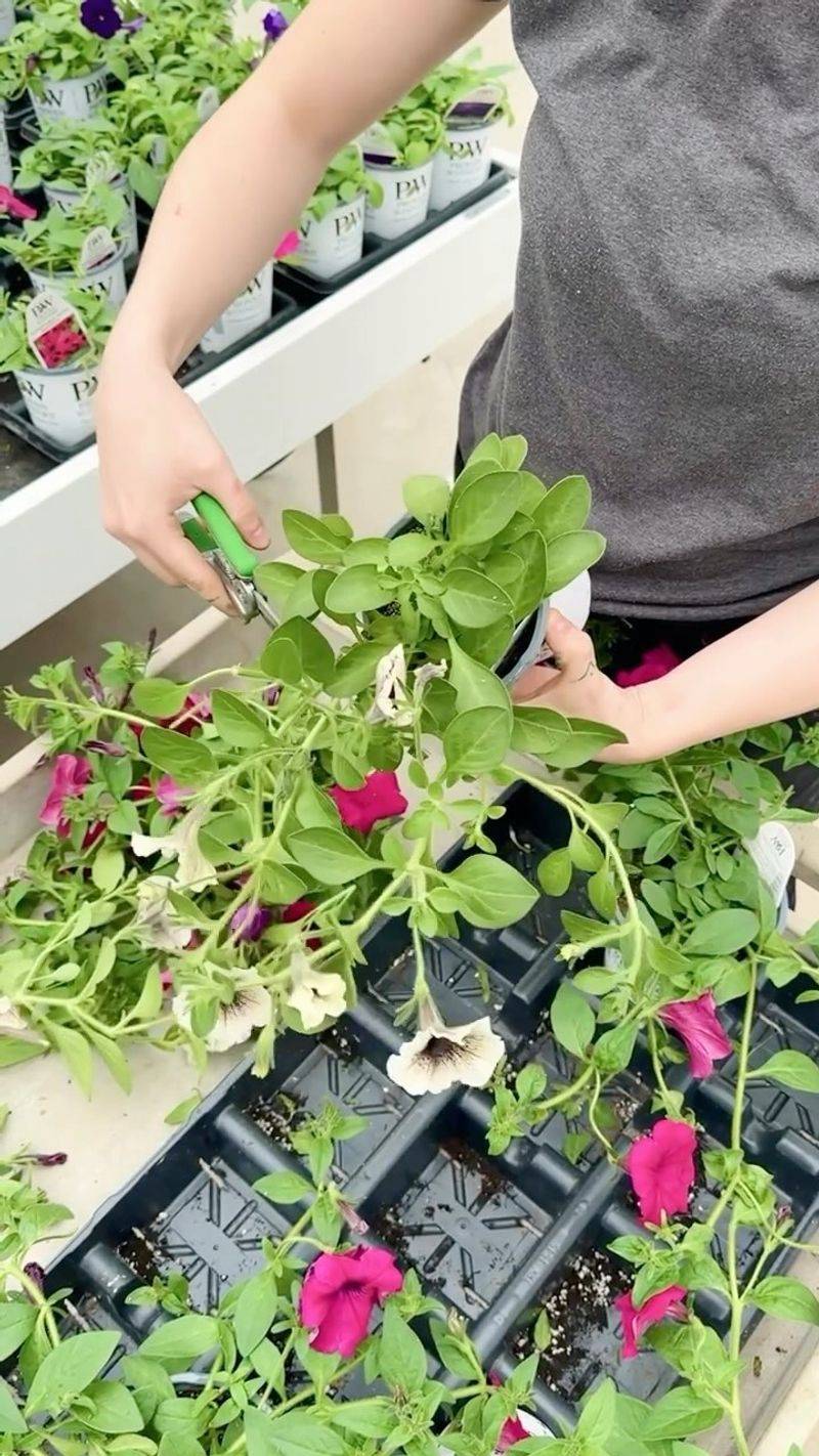 Stagger Your Pruning