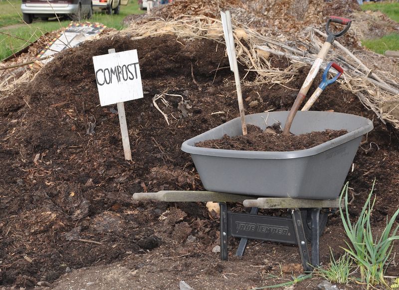 Established clematis may need organic matter more than regular fertilizer