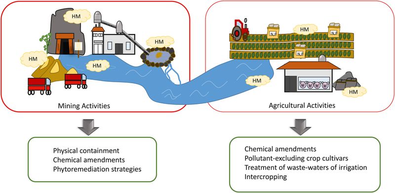Bioaccumulation Does Not Equal Soil Cleanup