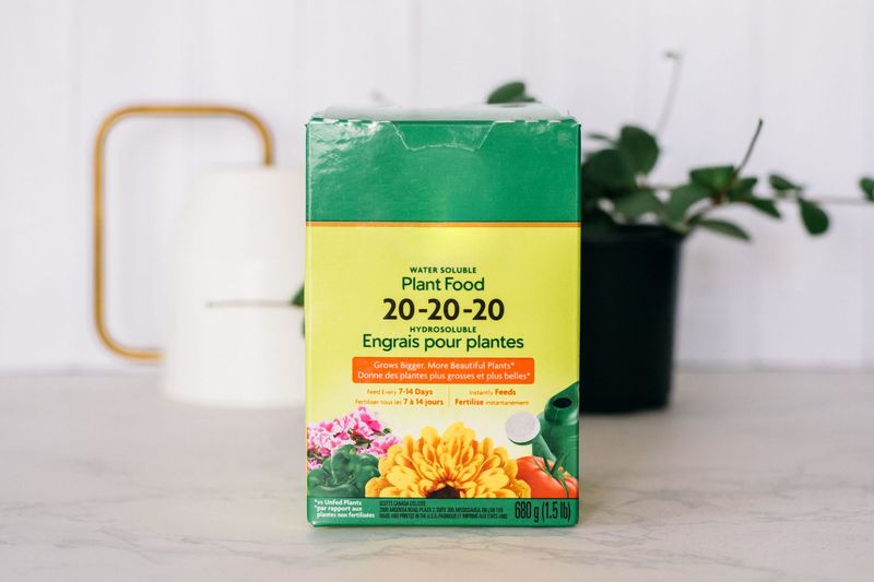 Wrong Type of Fertilizer