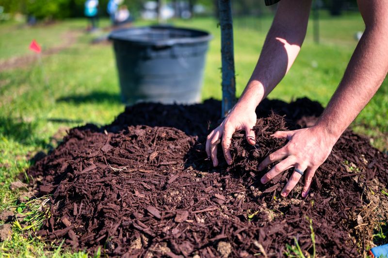 Mulch To Retain Moisture