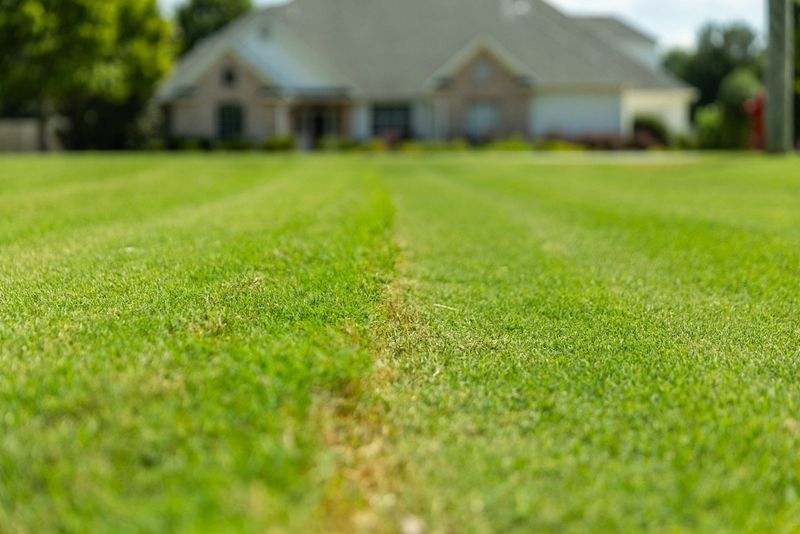 Fertilizer Spilled or Over-Applied