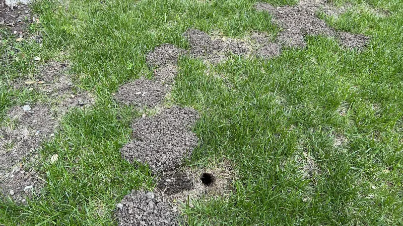 Respond to the damage, not the tunnel alone