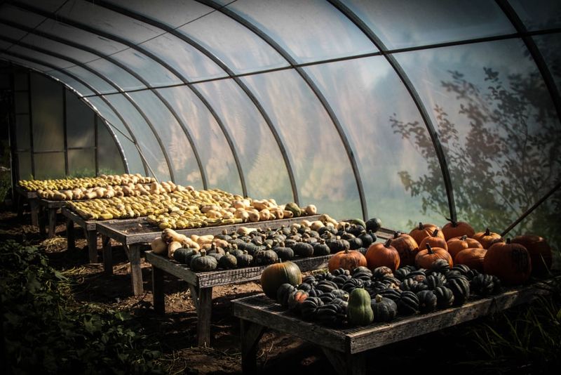Curing in Damp, Muggy Conditions