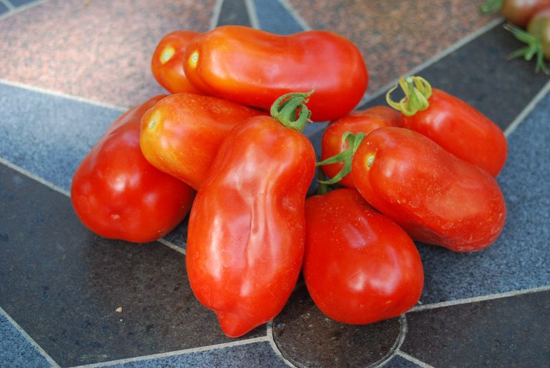 San Marzano (Heirloom)