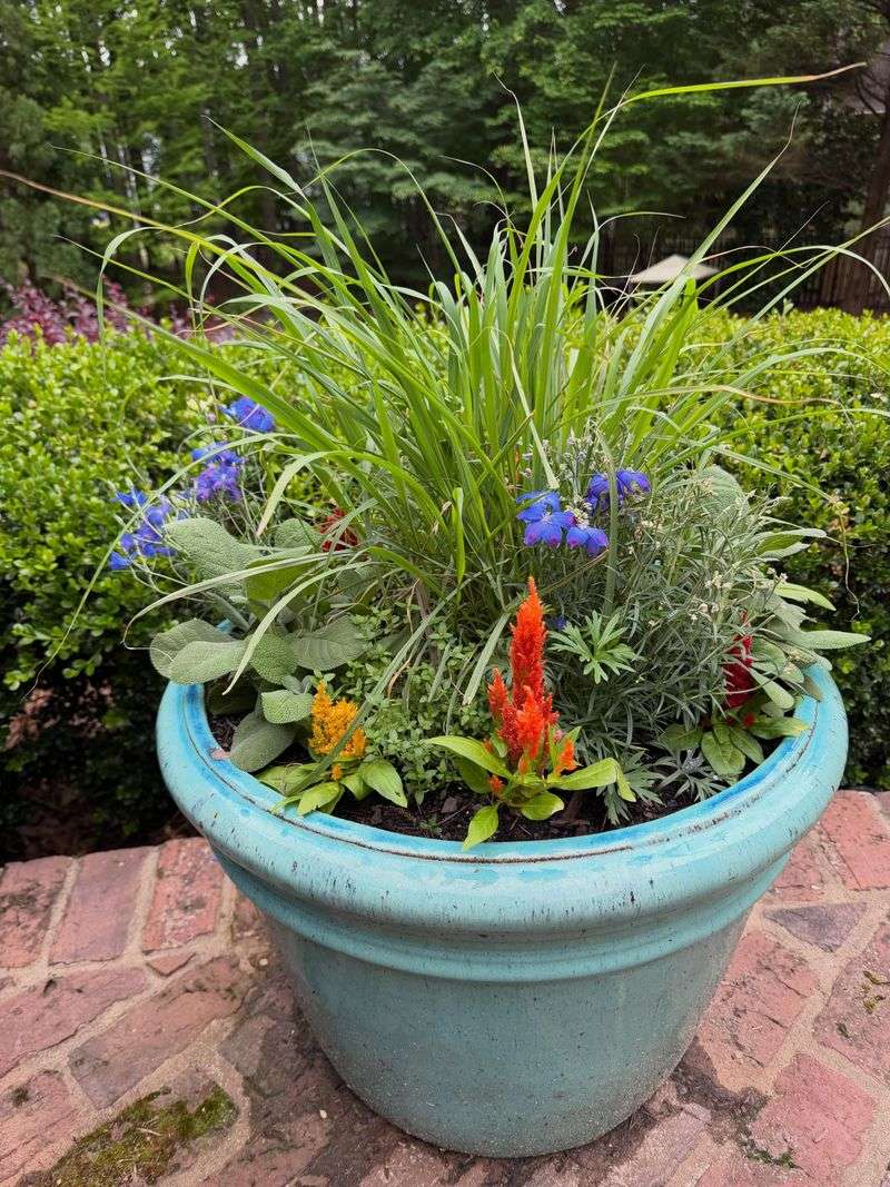 Use a sunny container to match North Carolina’s seasons