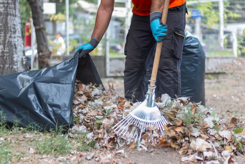 Dispose of Diseased Plant Material Properly