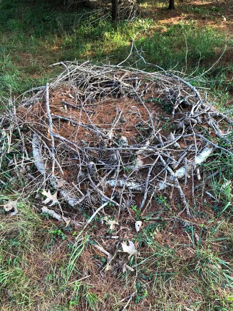 Build a modest dome with a sturdy base