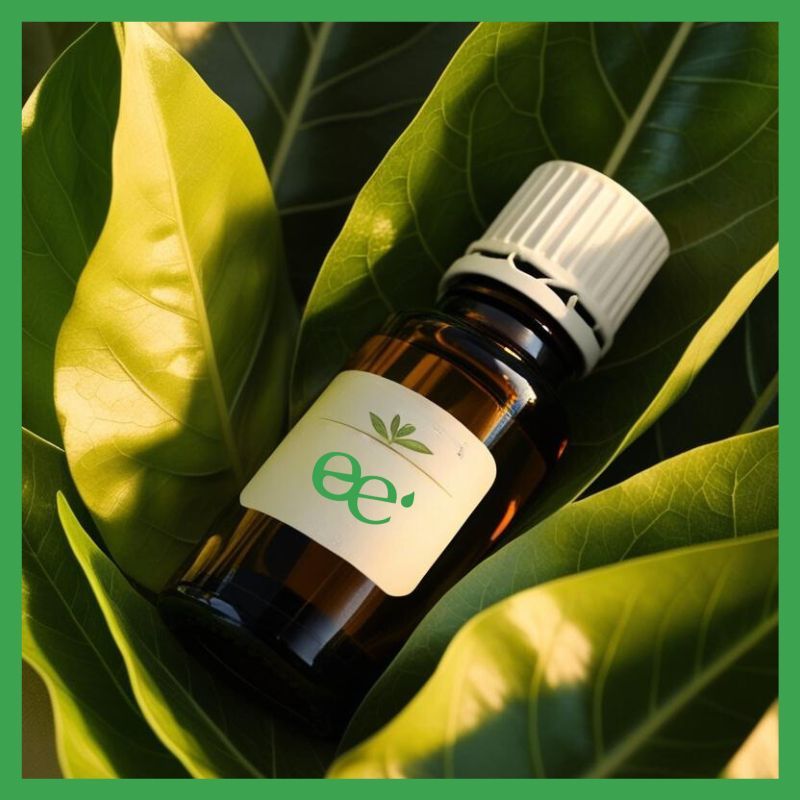 What Bay-Leaf Oil Studies Actually Measure