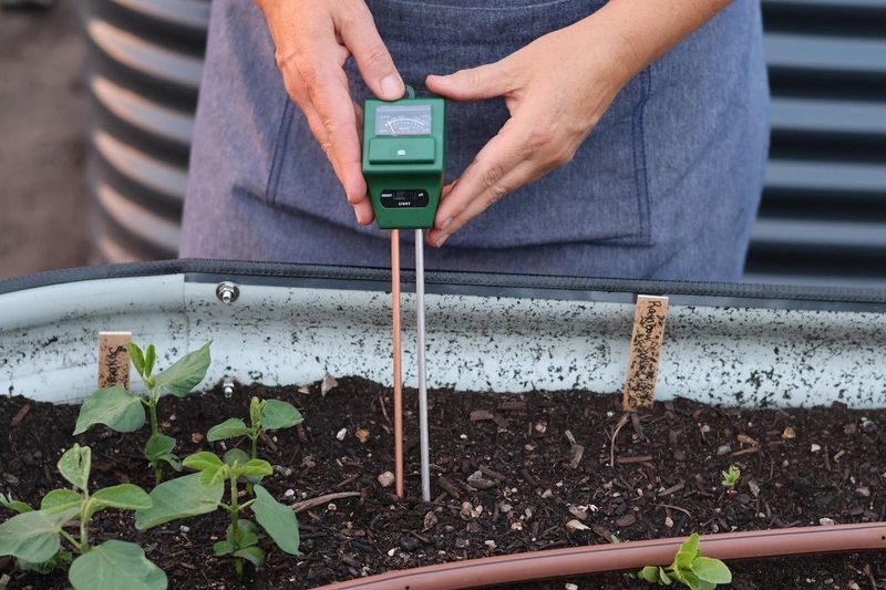 Soil pH Imbalance