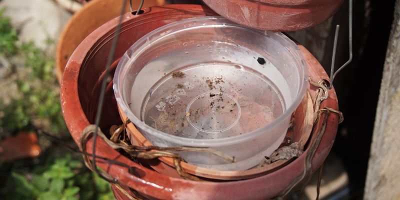 Small water-holding sites matter in North Carolina yards