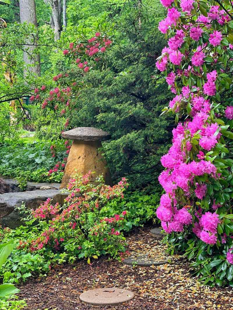 A hummingbird-friendly yard offers more than one feeder