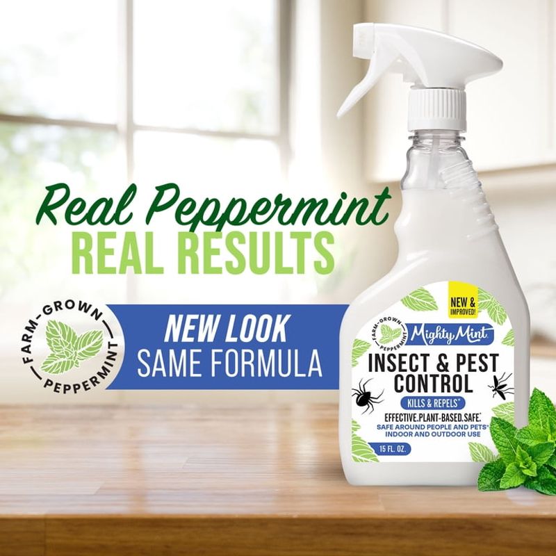 Mist Windows With a Peppermint Oil Spray
