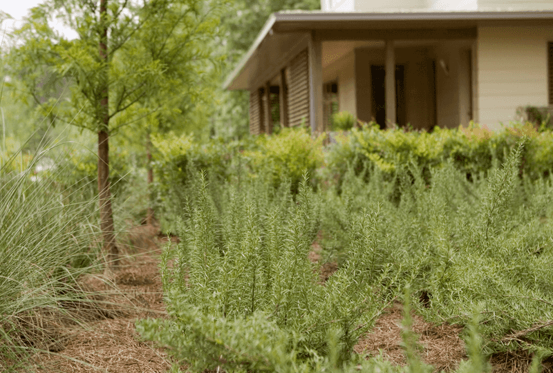Keep the guard—and the plant—in perspective