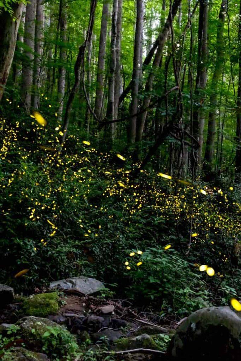A late-summer display is not the whole North Carolina calendar