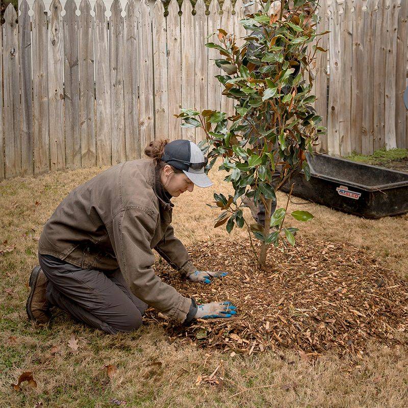 Let soil conditions—not one storm—guide the next step