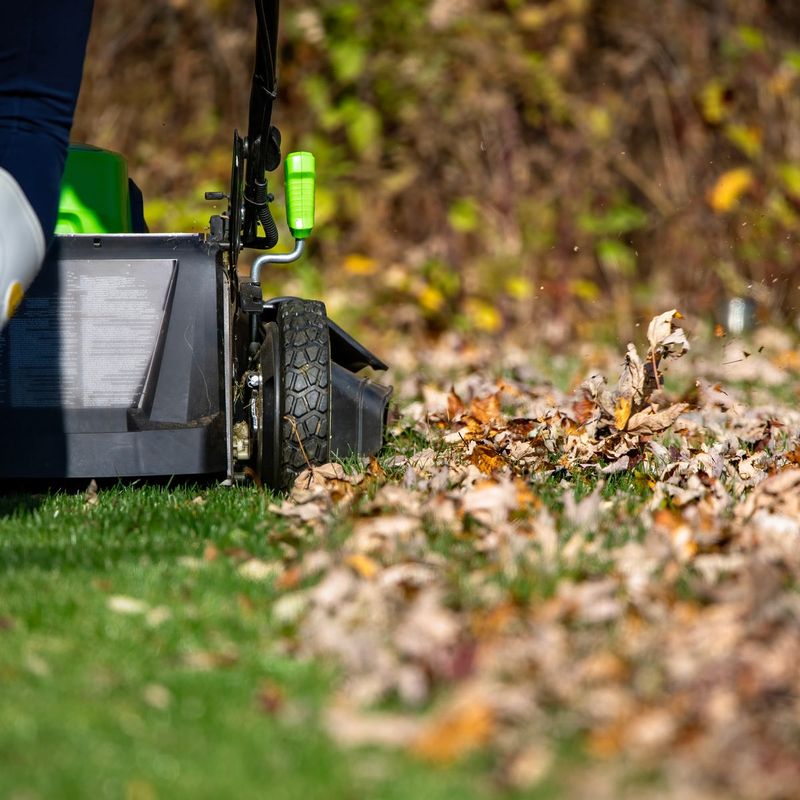 Mow dry, manageable leaves