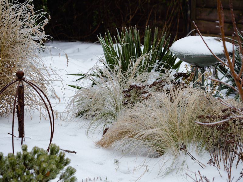 What standing foliage can—and cannot—do