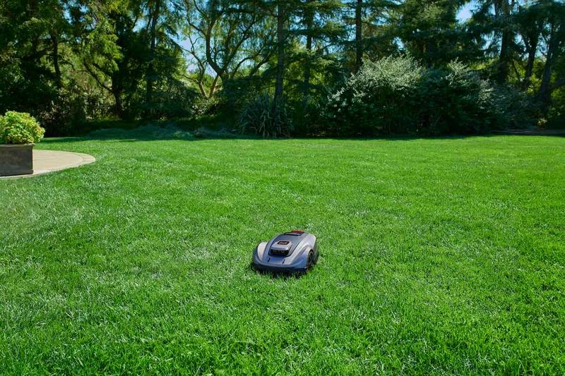 Make the lawn less inviting to encroachment