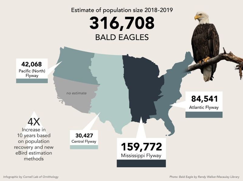 What the recovery looks like in numbers