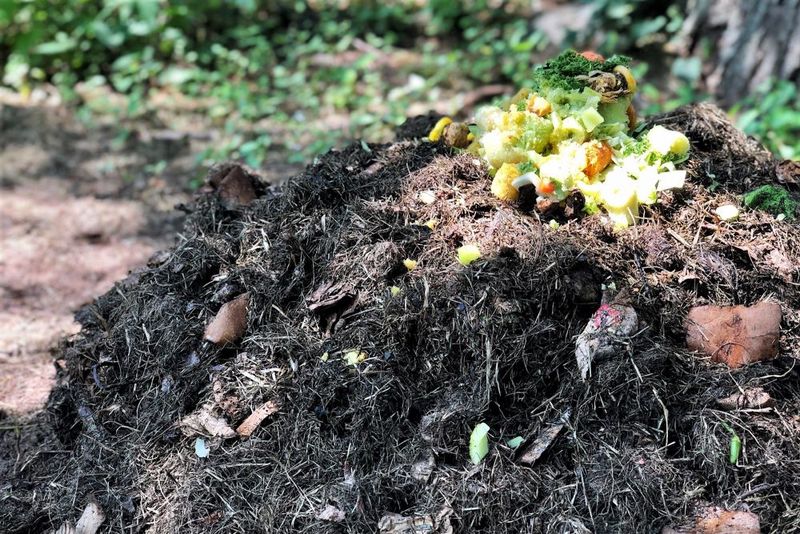 Work in Some Compost