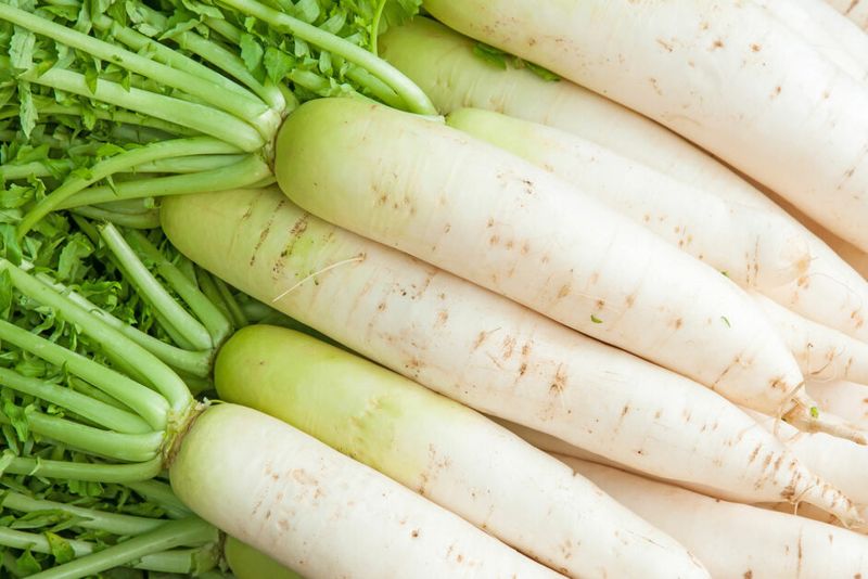 Daikon