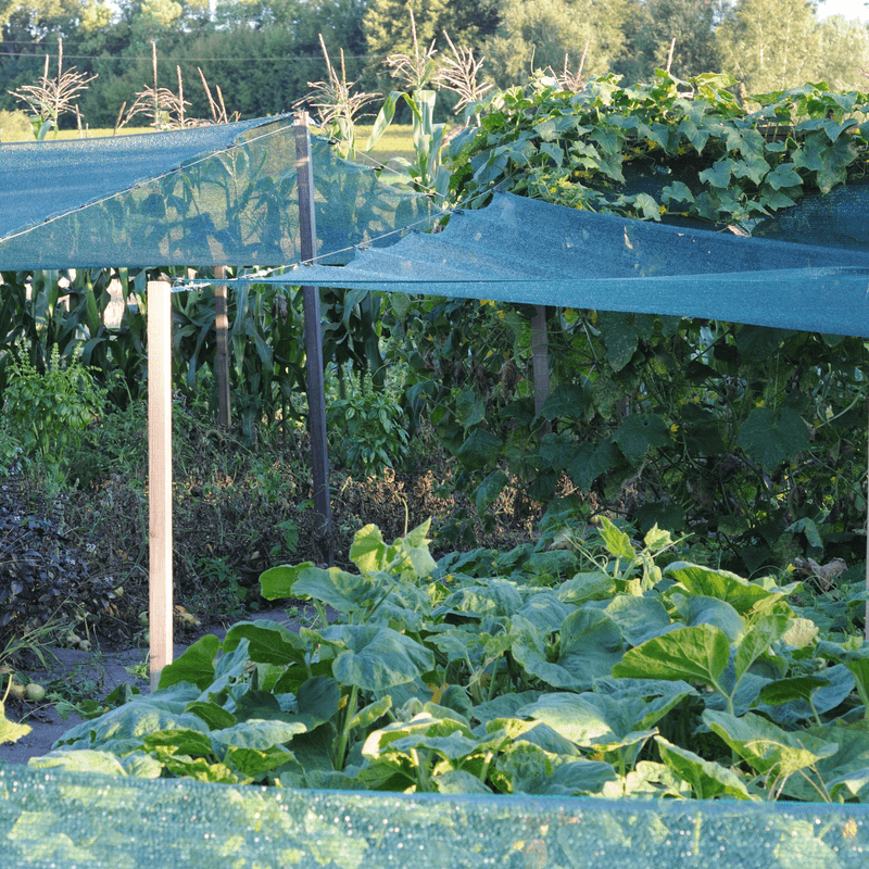 Set Up Temporary Shade Cloth