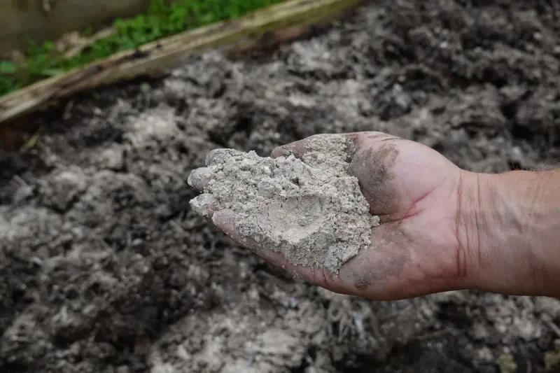 Keep ash away from pH-sensitive plants