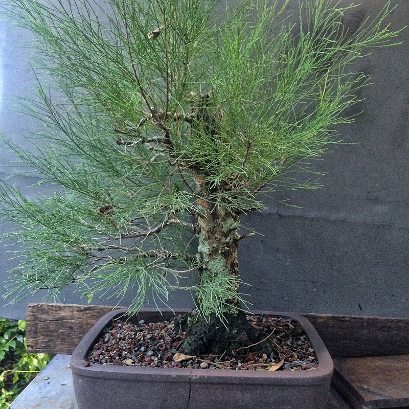 A Bulging or Cracked Pot